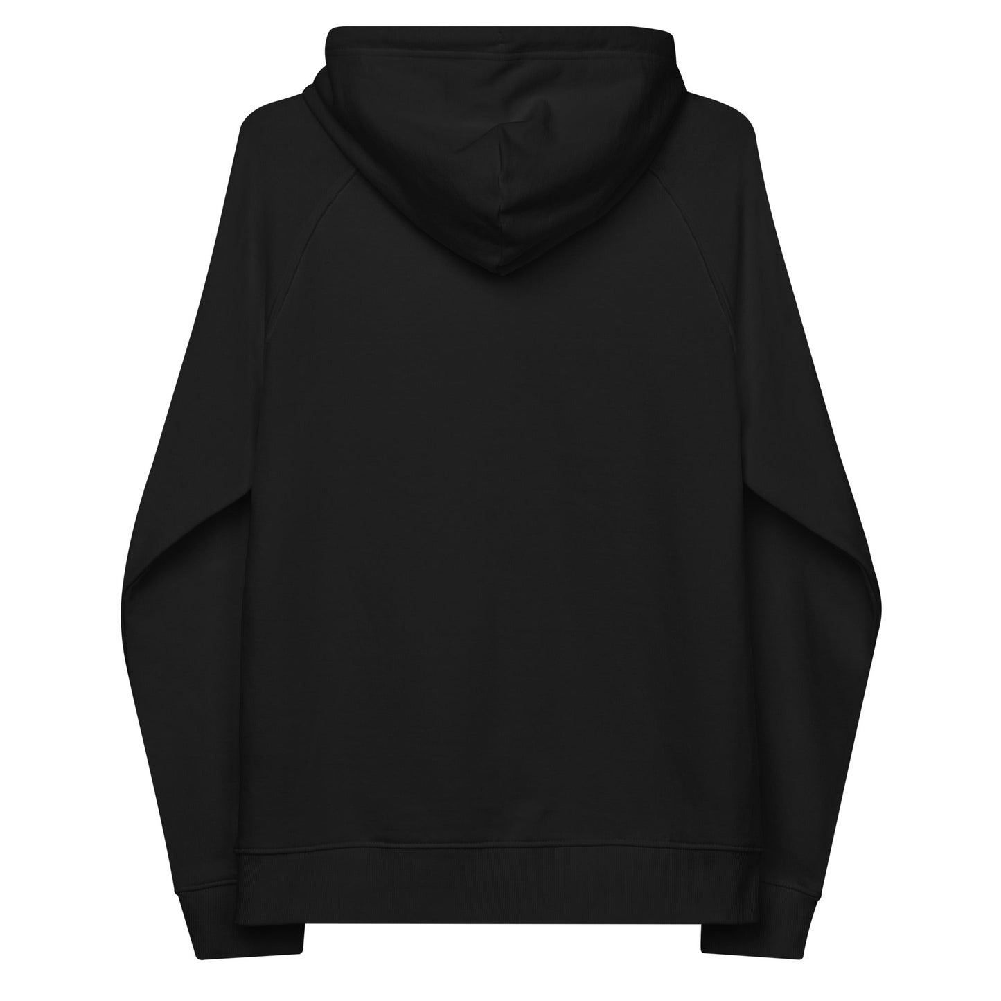unlearn-relearn-hoodie-r5 unisex-eco-raglan-hoodie-black-back-647547b169f25.jpg