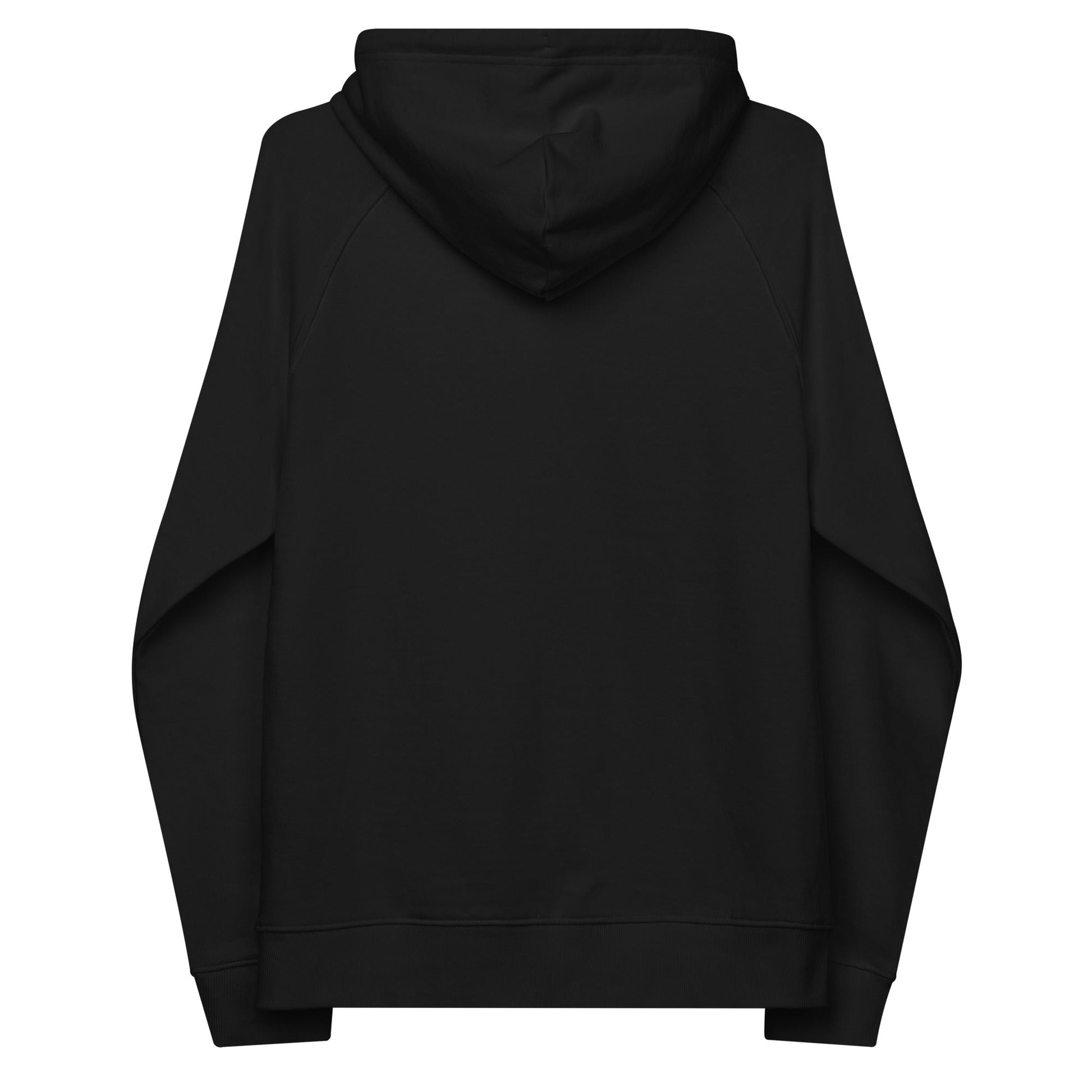 unlearn-relearn-hoodie-r5 unisex-eco-raglan-hoodie-black-back-647547b169f25.jpg